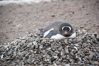 《鬼灭之刃 争当最强队士》今日发售 含“不死川玄弥”免费更新！